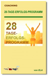 28-Tage-Erfolgs-Programm Buchcover